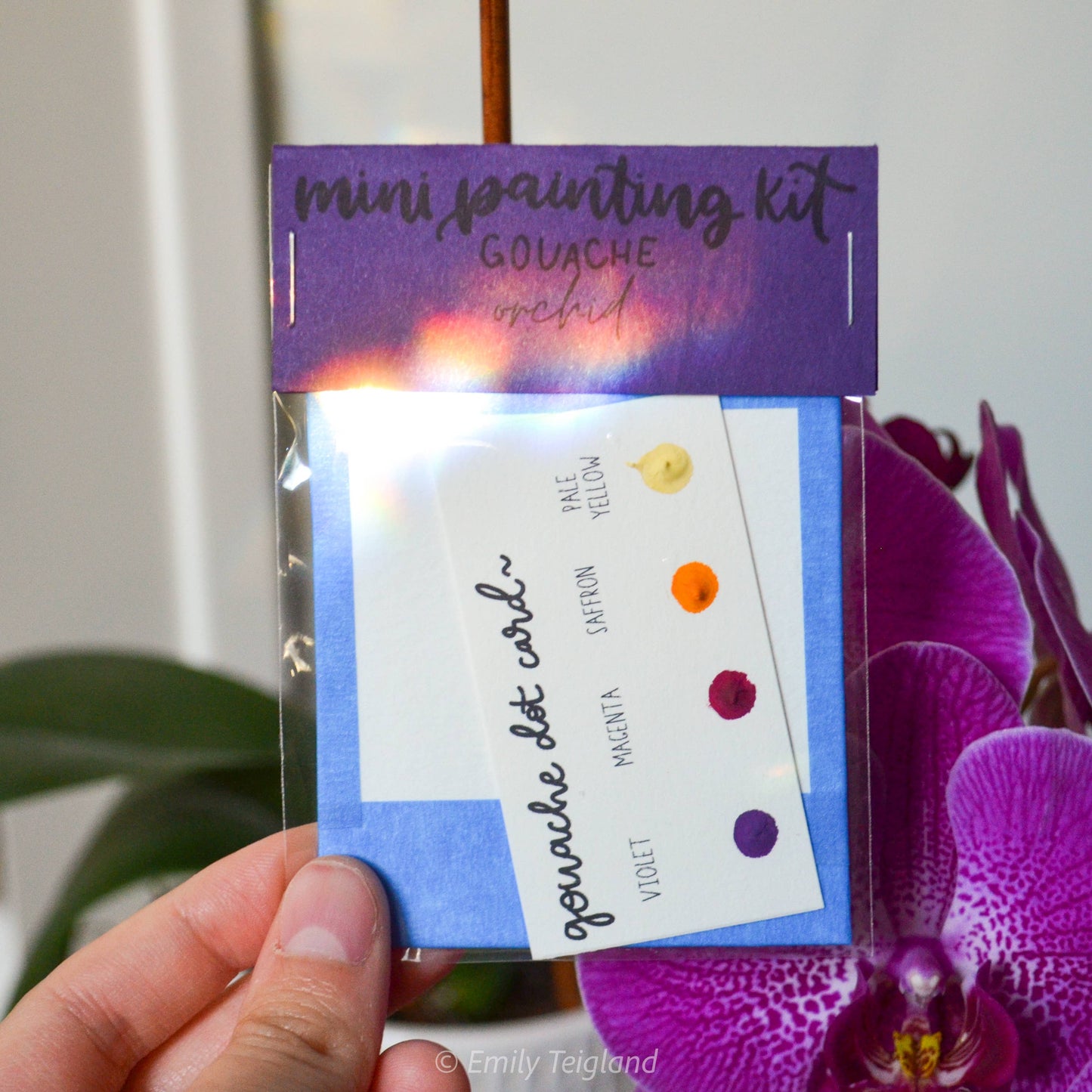 Mini Painting Kit- Orchids