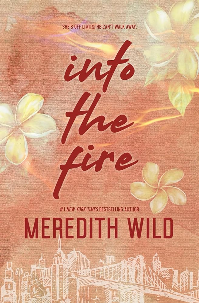 Into the Fire: Darren & Vanessa's Story (The Bridge Series) cover image