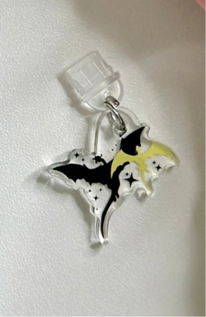 Dragons USB-C Dust Plug and Charm