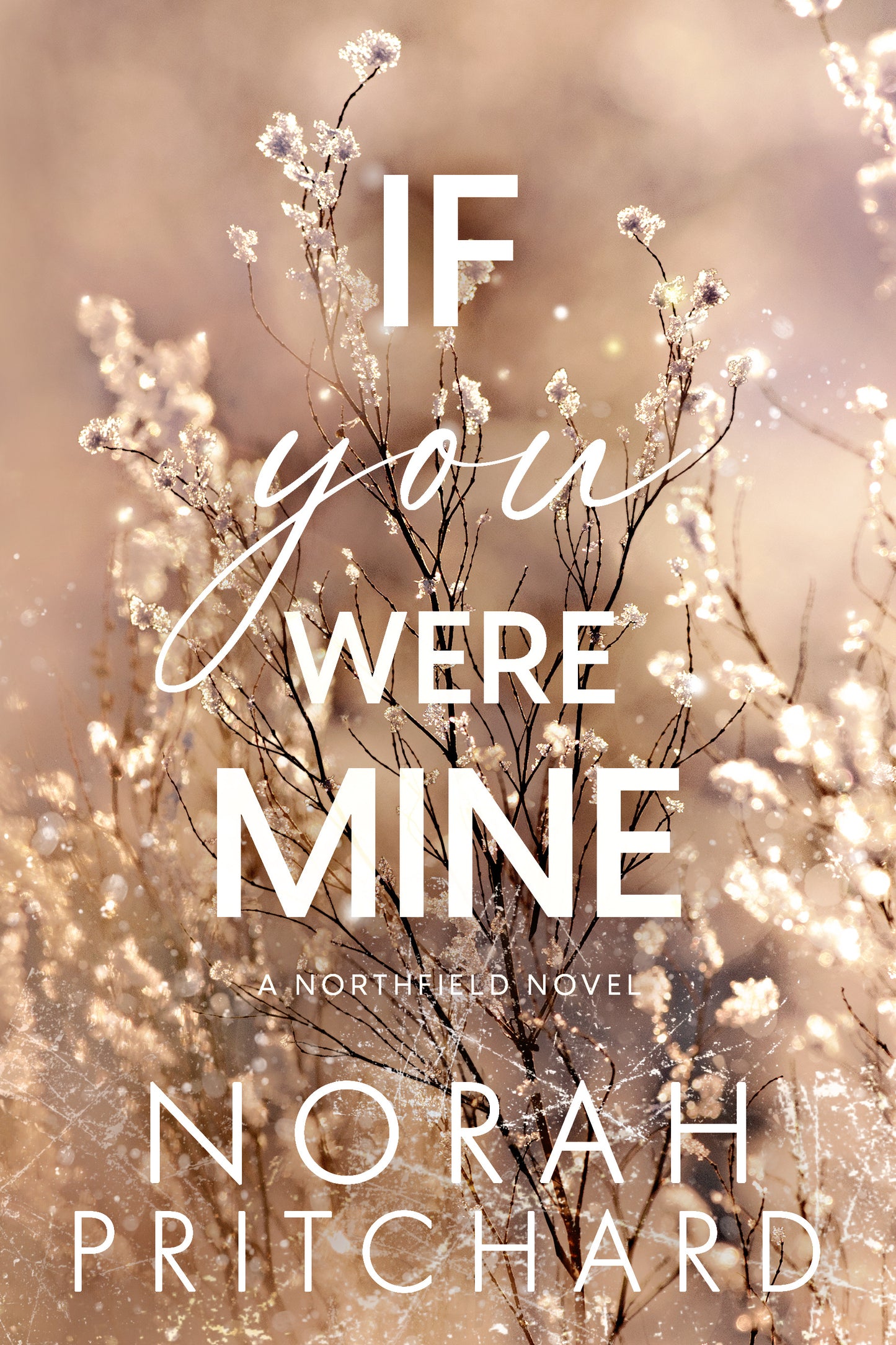 If You Were Mine (Northfield #3)