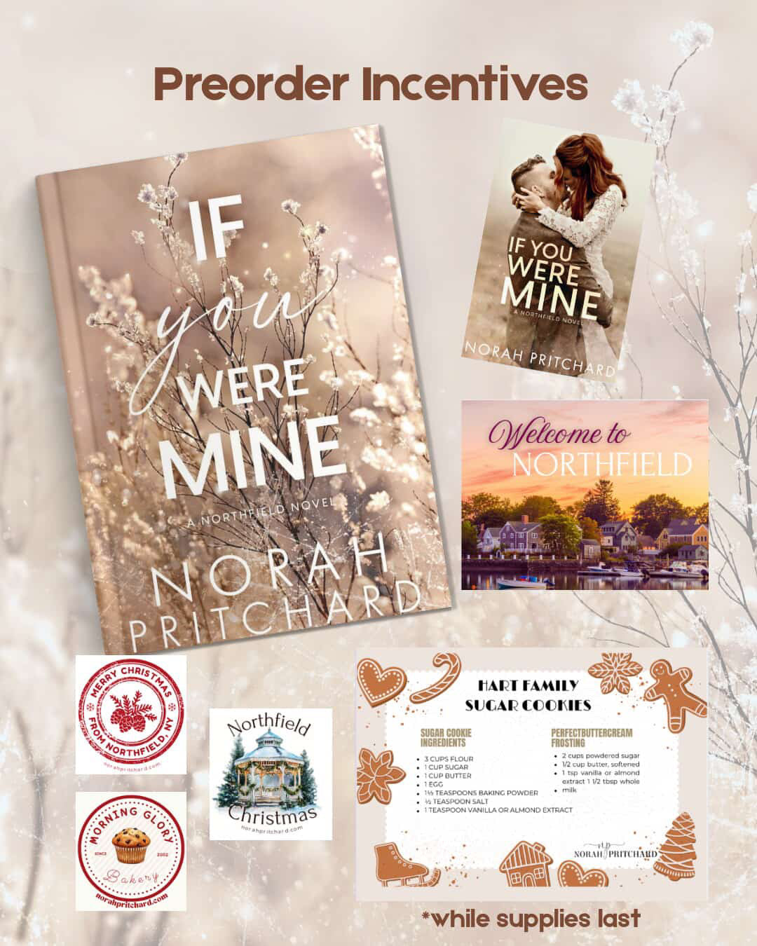 If You Were Mine (Northfield #3)