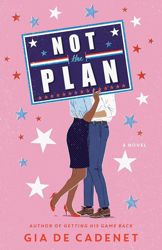 Not the Plan: A Novel cover image