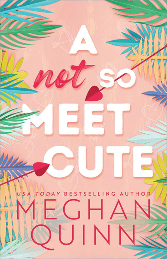 A Not So Meet Cute (Cane Brothers #1)