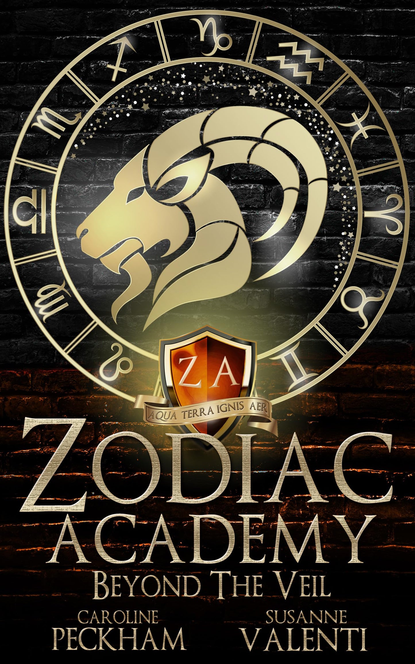 Beyond The Veil (Zodiac Academy #8.5)