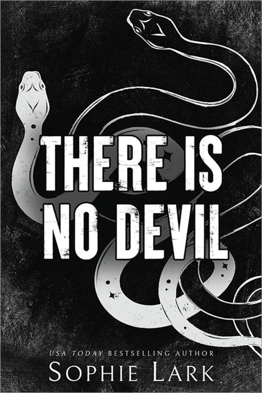 There Is No Devil (Sinners Duet #2)